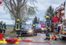 Bgld: Pkw seitlich gegen Baum → Beifahrer klemmt zwischen Tür und Mittelkonsole fest