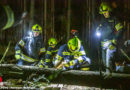 Oö: 44-Jährigen bei Suchaktion in Überackern tot unter gefälltem Baum gefunden