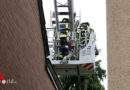 D: Drehleiter-Einsatz in Celle sprichwörtlich für die Katz‘ → die hatte andere Pläne