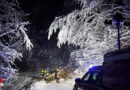 Stmk: Schnee-Einsätze im Bereich Graz-Umgebung gehen am 10. Dezember 2020 weiter