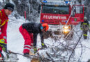 Tirol: Feuerwehr muss wegen Schneedruck knapp ein Dutzend Bäume fällen