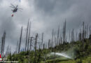 Österreich: Hohe Temperaturen sorgen für hohe Waldbrandgefahr → Vorsicht in den Wäldern!