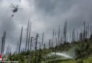 D: Rekord-Waldbrandsommer 2022 → fast 4300 Hektar Wald verbrannt – Waldeigentümer und Feuerwehren fordern finanzielle Unterstützung für Präventionsmaßnahmen