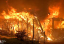 D: Gartenhaus in Witten voll in Flammen