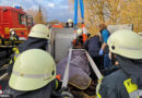 D: Feuerwehr befreit verunfalltes Pferd aus Transportanhänger