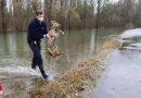 D: Dem helfen, der Hilfe braucht → Polizei als tierischer Retter aus dem Hochwasser