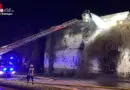 D: Fassadenbewuchs am Hochbunker in Hattingen in Flammen