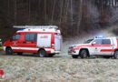 Oö: Ein Toter bei Forstunfall in Offenhausen → 30 cm Fichte erschlägt 60-Jährigen