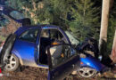 Schweiz: Lenkerin kracht mit Auto in Hessigkofen gegen Baum → 60-Jährige getötet