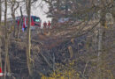 Oö: Tödlicher Forstunfall in Haag am Hausruck → Sohn (33) vor Augen des Vaters von Baum begraben