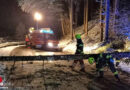 Oö: Baum blockiert Fahrbahn in Oberdambach (Garsten)
