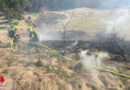 Oö: Schadholzfeuer wird zum Böschungsbrand in Scharnstein