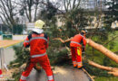 Schweiz: Züricher Einsatzkräfte am 13.03.2021 praktisch im Dauereinsatz → Brände, auch mehrere Sturmschäden