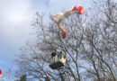 Schweiz: Feuerwehr rettet in Baum hängenden Gleitschirmpiloten in Zürich