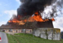 Schweiz: Rund 90 Tiere bei Scheunengroßbrand in Ruswil gerettet