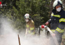 Oö: Fischaufseher bemerkt Brand in Hinterstein (Bad Ischl)