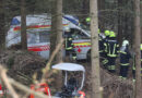 Oö: 51-Jähriger bei Forstunfall in Eberstalzell von 20 m hohen, abreißenden Esche erschlagen