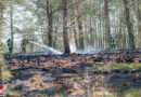 D: Flächenbrand in der „Barker Heide“ → ca. 5000 m2 Moor-und Heidefläche betroffen