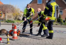 D: Feuerwehr Herford holt Waschbären aus Kanal