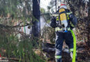 Nö: Gartenmaterial brennt unter einem Baum bei einem Haus in Perchtoldsdorf