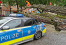 Bayern: Streifenwagen der Polizei in München von Baum “erschlagen”