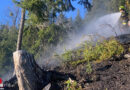 Stmk: Sechs Feuerwehren bei Waldbrand auf drei Hektar in Lassing im Einsatz