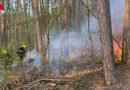 Nö: Kleinflächiger Waldbrand in der „Jauling“ in St. Veit an der Triesting