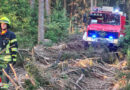 D: Waldbrand im Trochel → der Unimog schaffte es zur Einsatzstelle