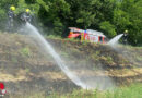 Nö: Zwei Fluren- und ein Autobrand innerhalb zwei Stunden in Ebenfurth