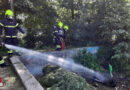 Nö: Feuerwehr Schwechat löscht brennenden Scooter in ehemaligem Pool