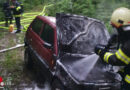 Oö: Auto gerät während Fahrt in Waldstück in Waldneukirchen in Brand