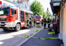 Zwei Katzen bei Wohnungsbrand ums Leben gekommen