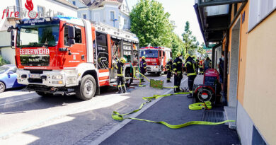 Zwei Katzen bei Wohnungsbrand ums Leben gekommen