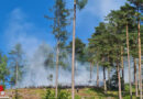 Nö: Fünf Feuerwehren bei Waldbrand im Gaupmannsgraben in Ramsau