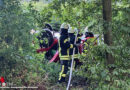 D: Skoda Fabia durchbricht Mast, streift Baum und landet bei Hamersen am Dach