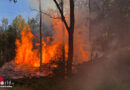 Nö: Waldbrand in der Trautmannsdorfer Au → B3-Alarm