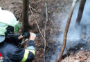 Stmk: Unwettereinsätze samt durch Blitz in Brand geratener Baum in Grafendorf bei Hartberg