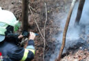 Stmk: Unwettereinsätze samt durch Blitz in Brand geratener Baum in Grafendorf bei Hartberg