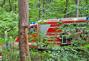 Nö: Kindergruppe Natur Plus verhindert Waldbrand in Baden