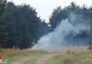 Nö: Beginnender Waldbrand in Großmittel (Ebenfurth)