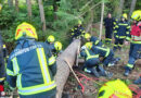 Nö: Zwei Feuerwehren beüben Forstunfall in Waidhofen an der Thaya