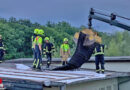 Nö: Sturm und Starkregen im Bezirk Baden am 28.07.2021 → 22 Feuerwehren im Einsatz