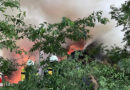 D: Brand von 50 Rundballen in Waldstück in Heeslingen