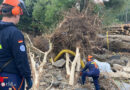 D: Fachhelfer der Bergungsgruppen packen bei der Hochwasser-Schadensbeseitigung an