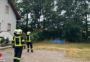 Nö: Baum in Steinabrückl droht durch Blitzschlag umzustürzen