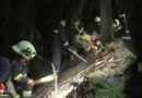 Nö: Waldbrand nach Blitzschlag in Türnitz