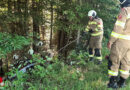 Sbg: Motorradfahrer bei Unfall in Thalgau in Waldstück gelandet