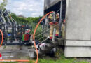 Schweiz: Wohnungsbrand in Bern rasch bekämpft