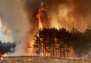 Steirer und Niederösterreicher weiterhin im Kampf gegen die Waldbrände in Mazedonien unter dem Dach des EU-Zivilschutzmechanismus (7.8.2021)