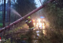 Bgld: Burgenländisch-steirischer-Sturmeinsatz bei umgestürzten Bäumen in Pinkafeld